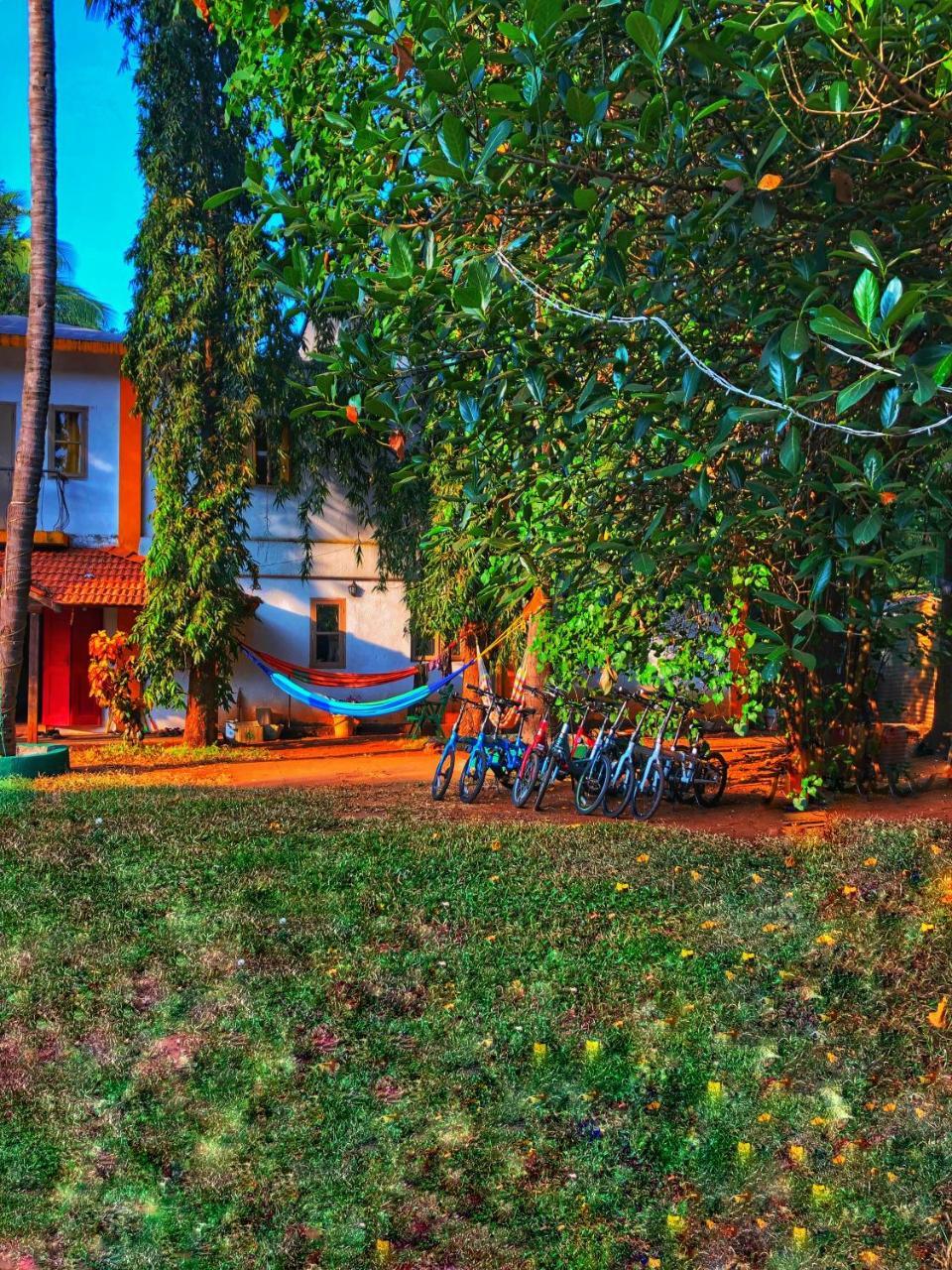 Red Door Hostel 안주나 외부 사진